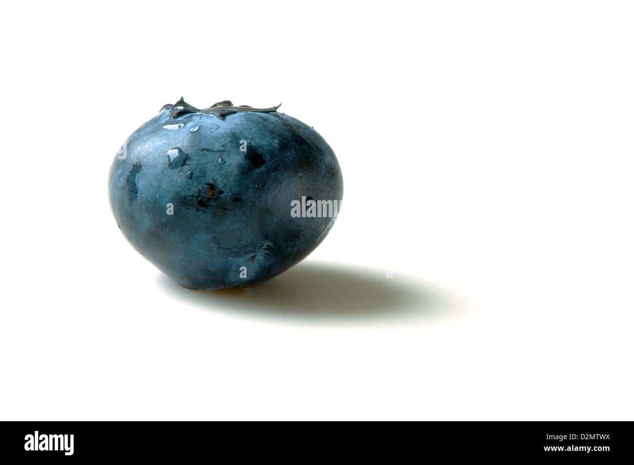 Portrait of a single blueberry against a white background. Illustrates a healthy diet Stock Photo