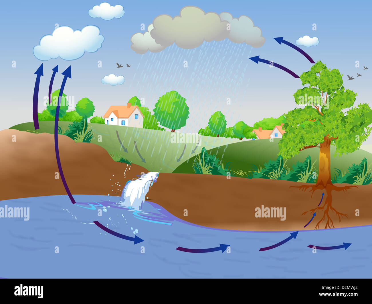Illustration showing water cycle Stock Photo Alamy