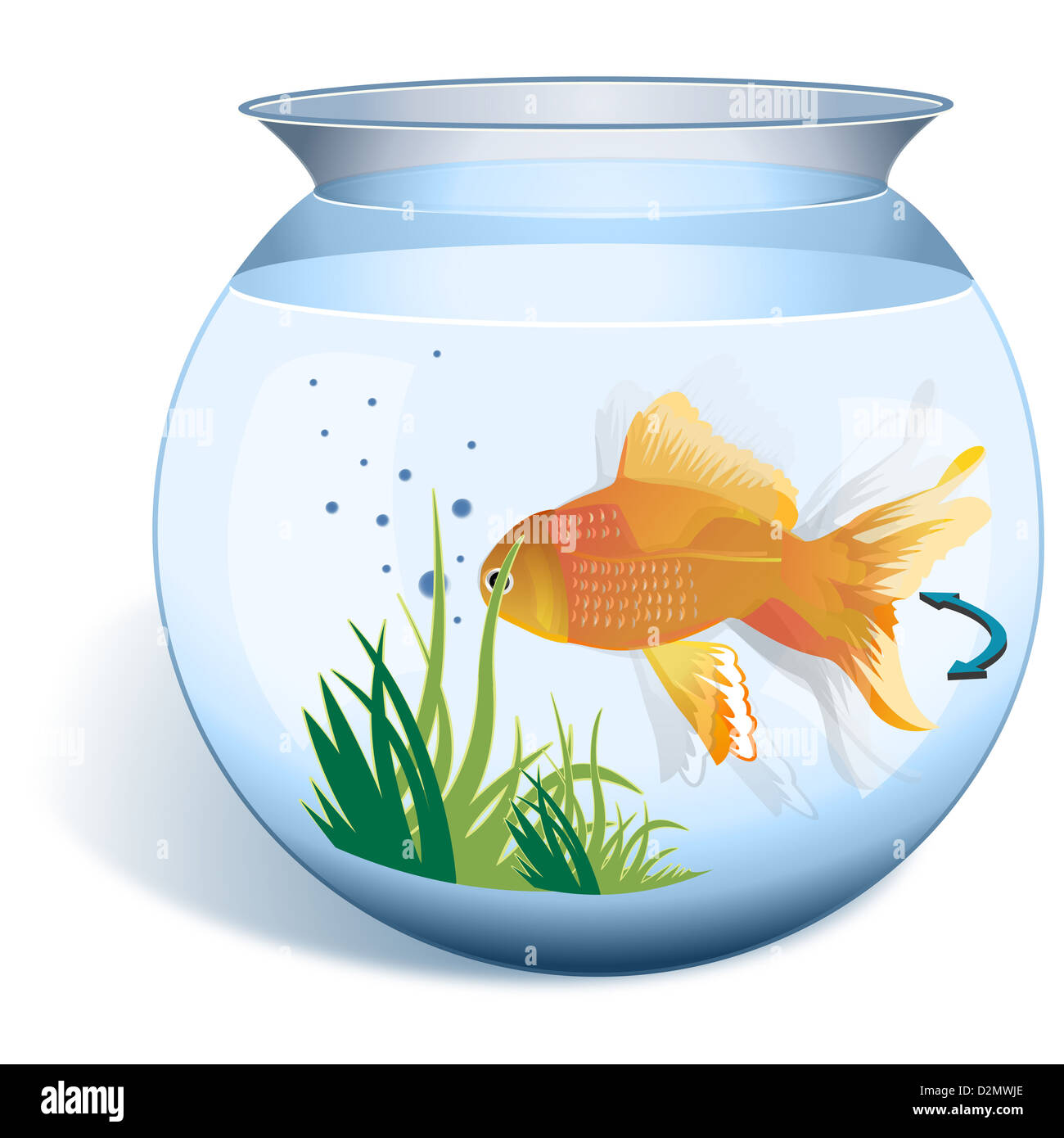 Close-up of a goldfish in a fishbowl Stock Photo