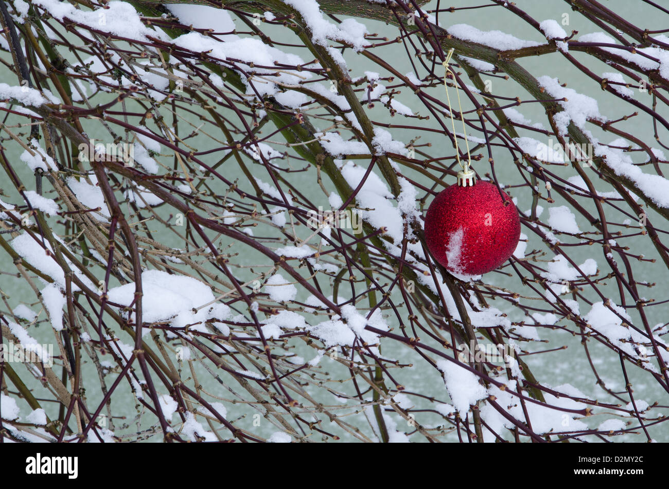 Bauble on a tree hi-res stock photography and images - Alamy