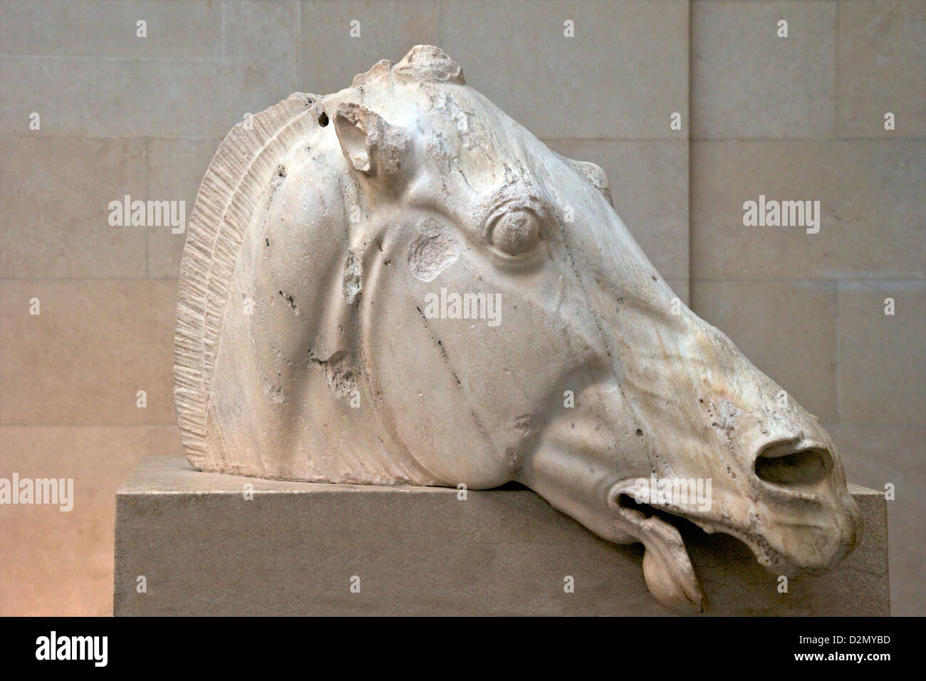 Head of horse from chariot of moon-goddess Selene, East Pediment, Parthenon  British Museum, London, England, UK, GB, British Is Stock Photo