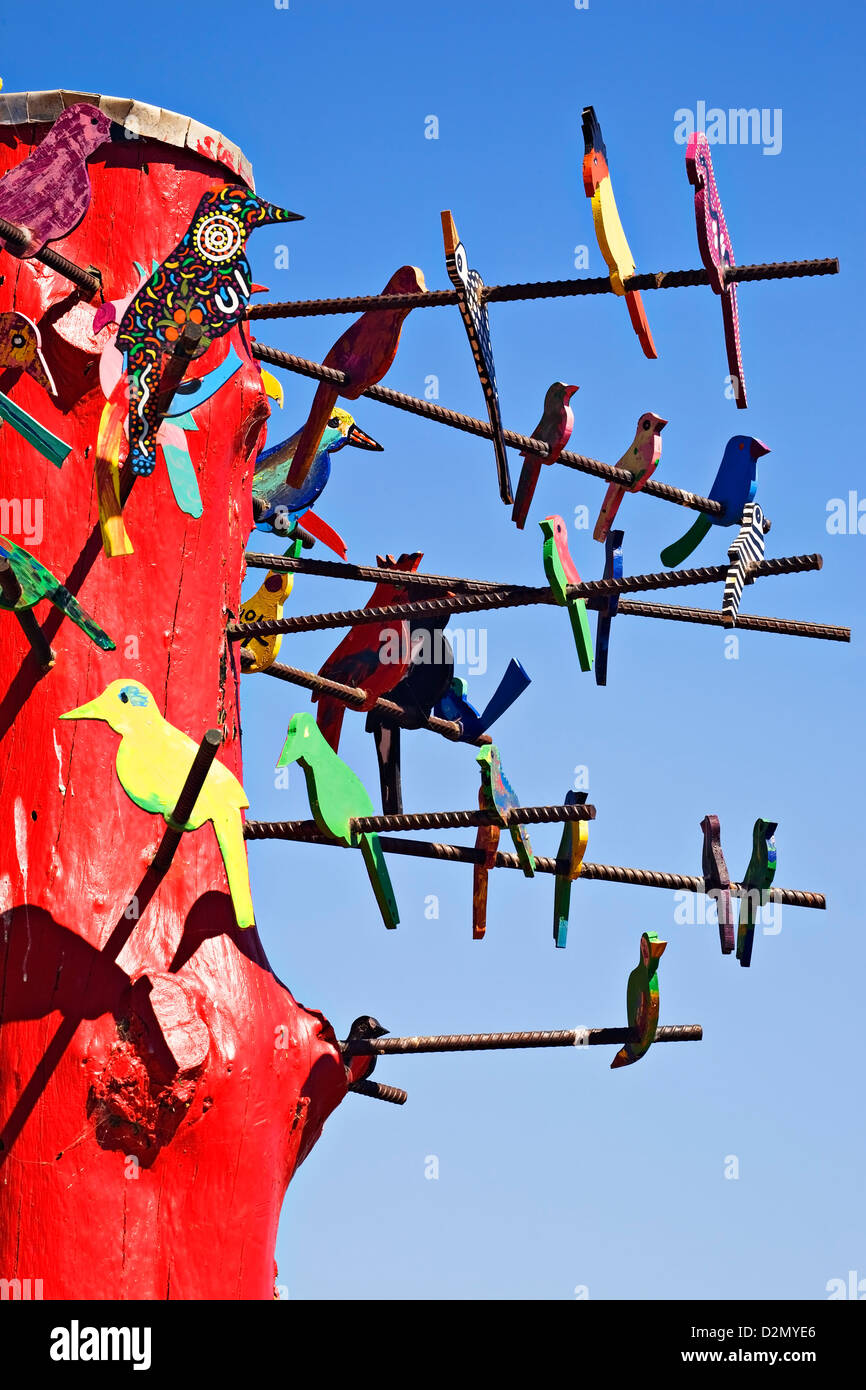 Learmonth Australia / A colourful bird perch standing on the banks of Lake Learmonth. Stock Photo