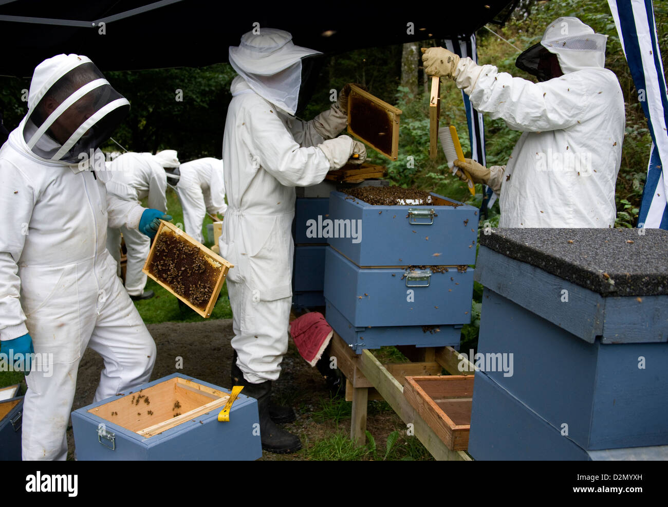 Apiarists High Resolution Stock Photography and Images - Alamy