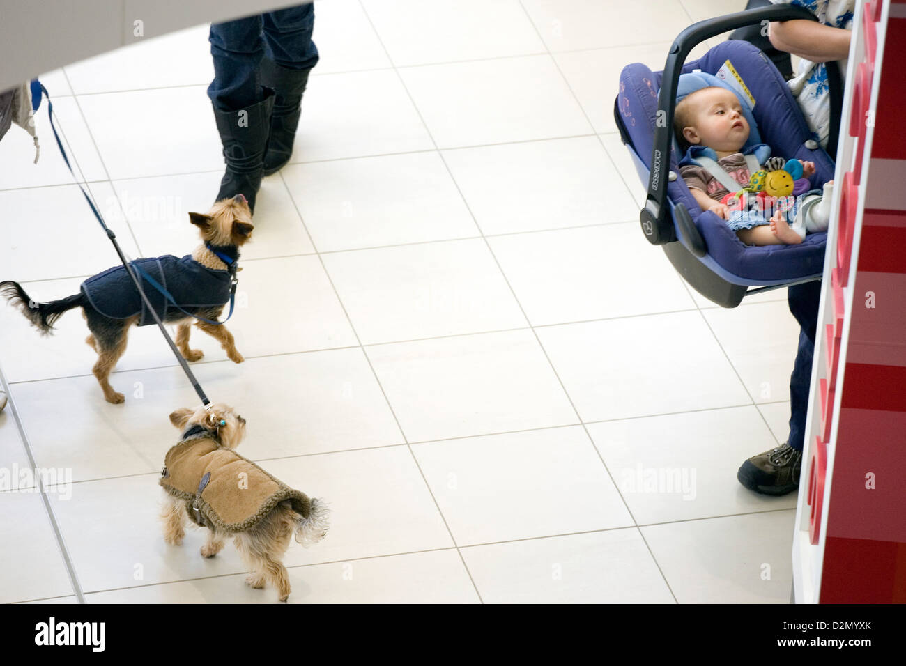 Baby carrier basket hires stock photography and images Alamy