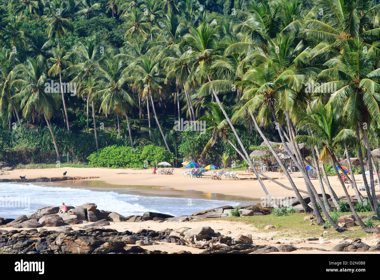 Palm Paradise Beach, Tangalle, Sri Lanka Stock Photo