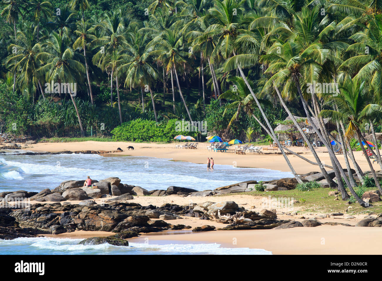 Palm Paradise Beach, Tangalle, Sri Lanka Stock Photo