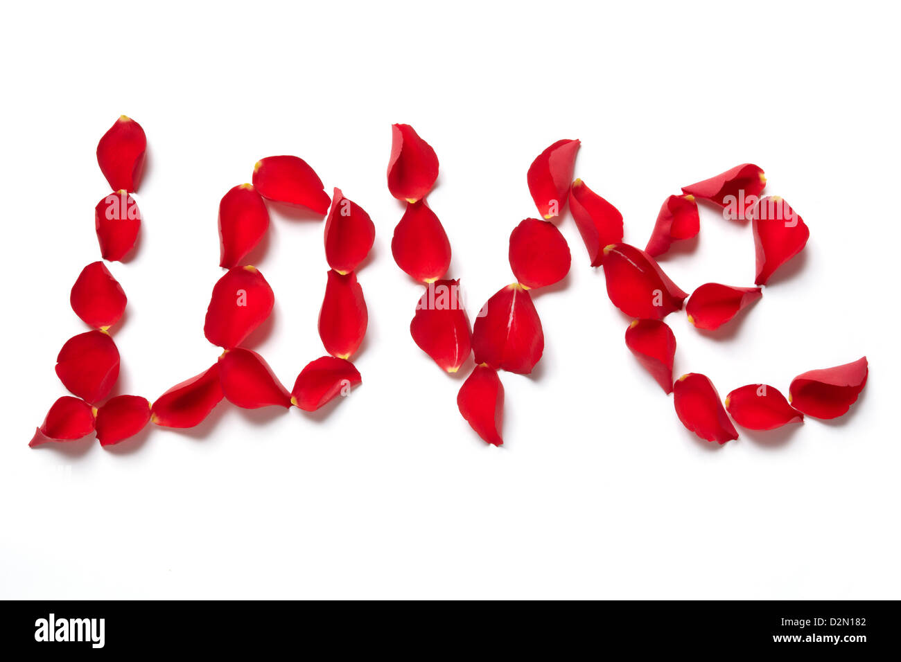 Red rose petals spelling the word love on white background Stock Photo