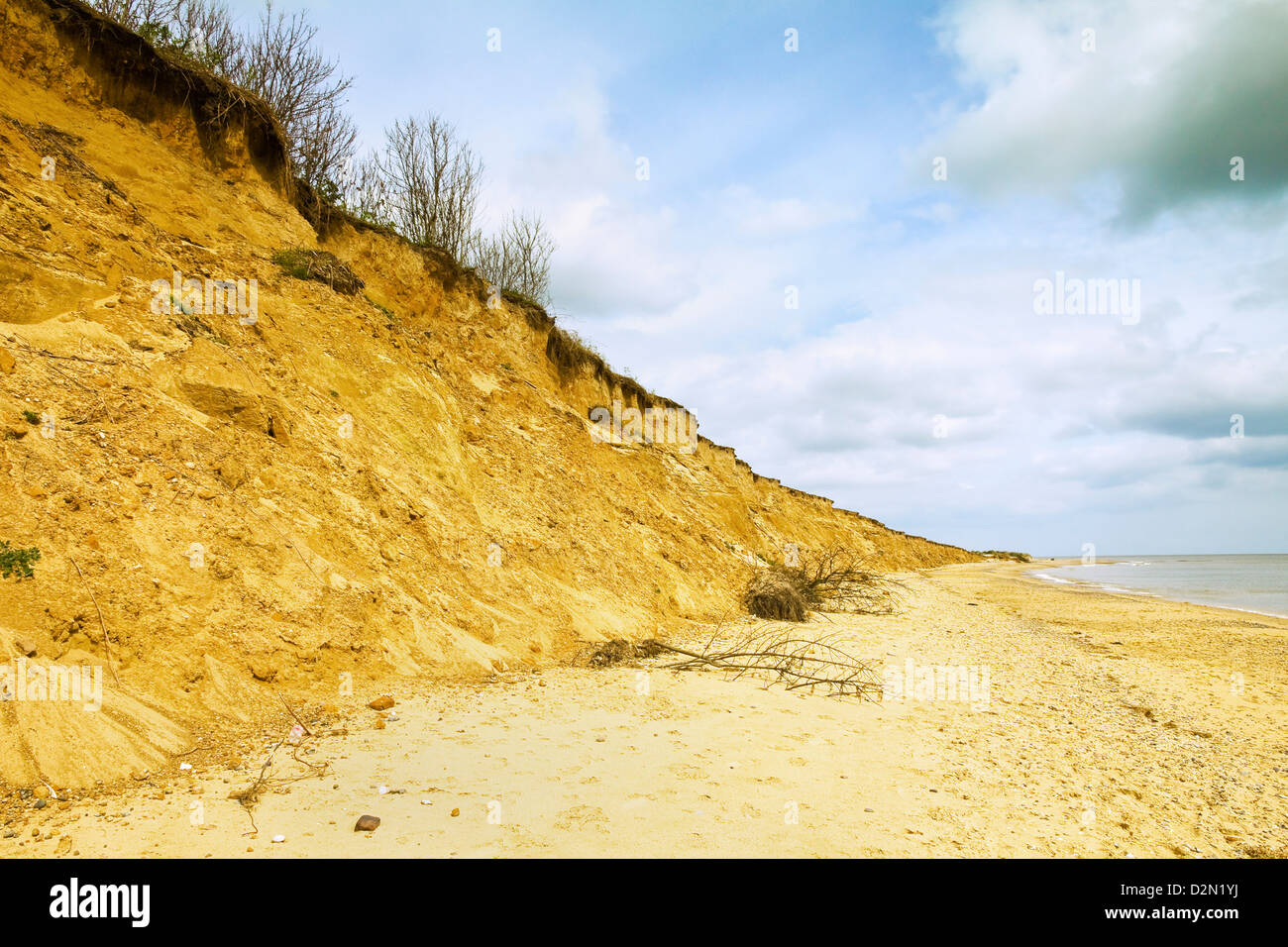 Quaternary glacial sands on this coast that has retreated more than 500m since the1830s, Covehithe, Suffolk, England, UK Stock Photo