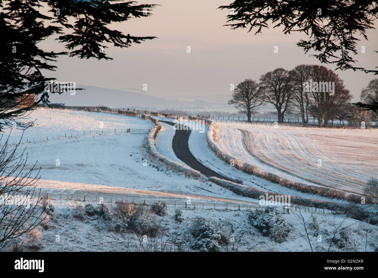 Country road in winter Stock Photo - Alamy