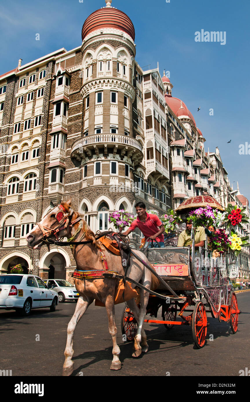 Horse drawn carriage on a sightseeing trip around Colaba Mumbai in