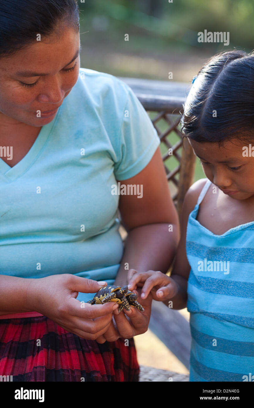 Amerindian Woman showing child model tortoises she has made from Bulletwood Rubber resin and sells as souvenirs. Nappi. Guyana. Stock Photo