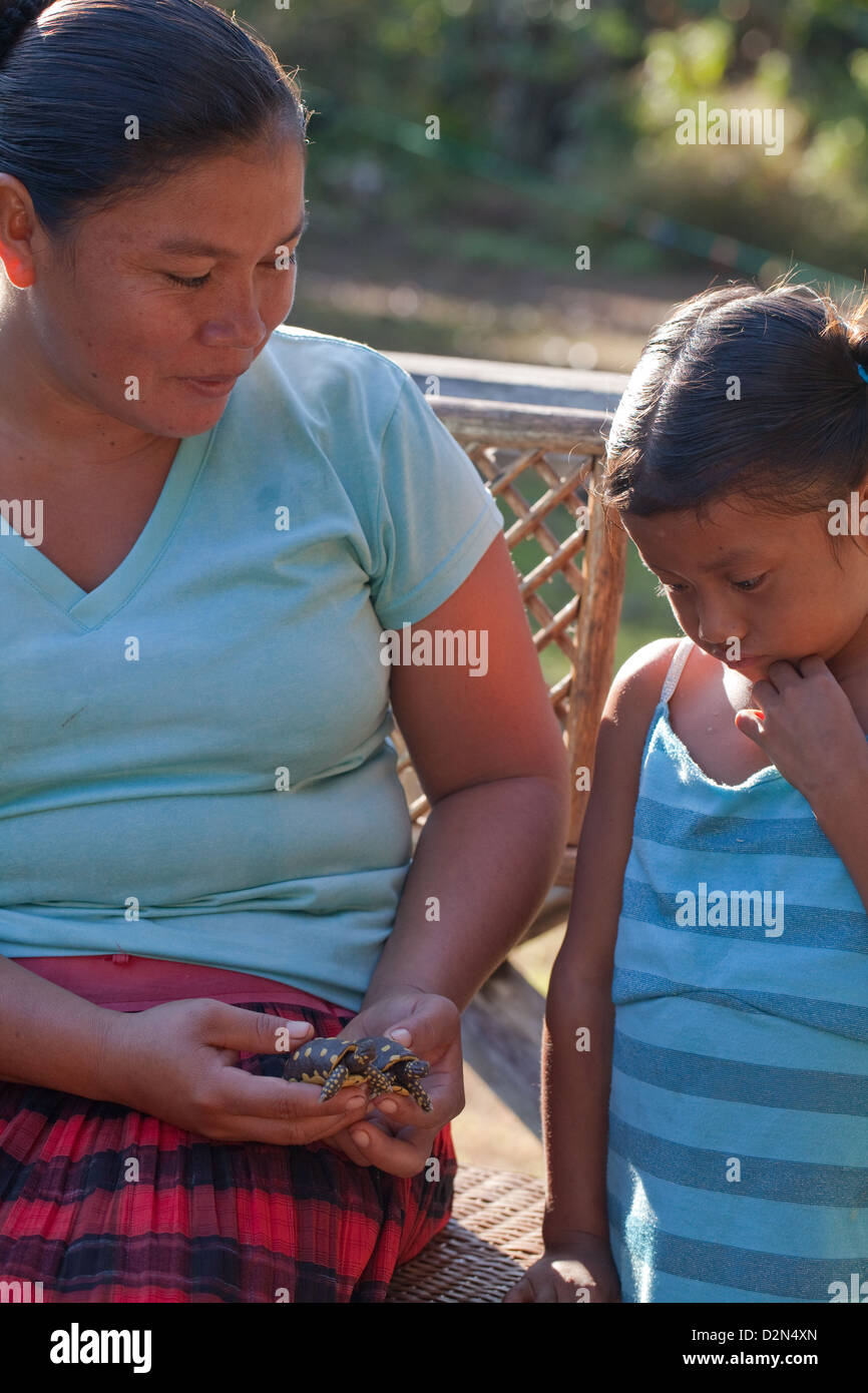 Amerindian Woman showing child model tortoises she has made from Balata Rubber resin and sells as souvenirs. Nappi. Guyana. Stock Photo