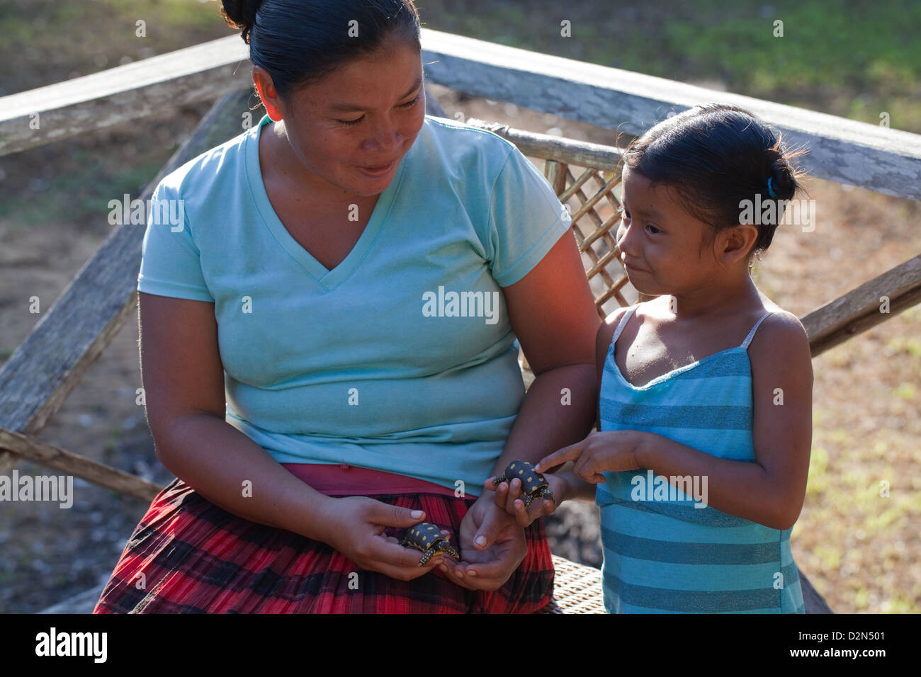 Amerindian Woman showing child model tortoises she has made from Bulletwood Rubber resin and sells as souvenirs. Nappi. Guyana. Stock Photo