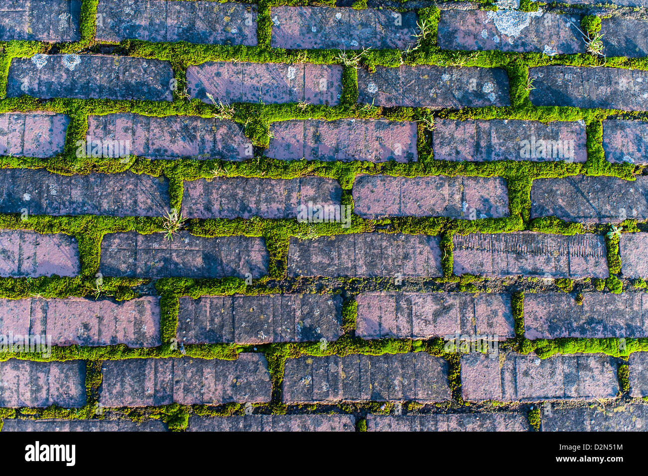 Brick Pavement Texture