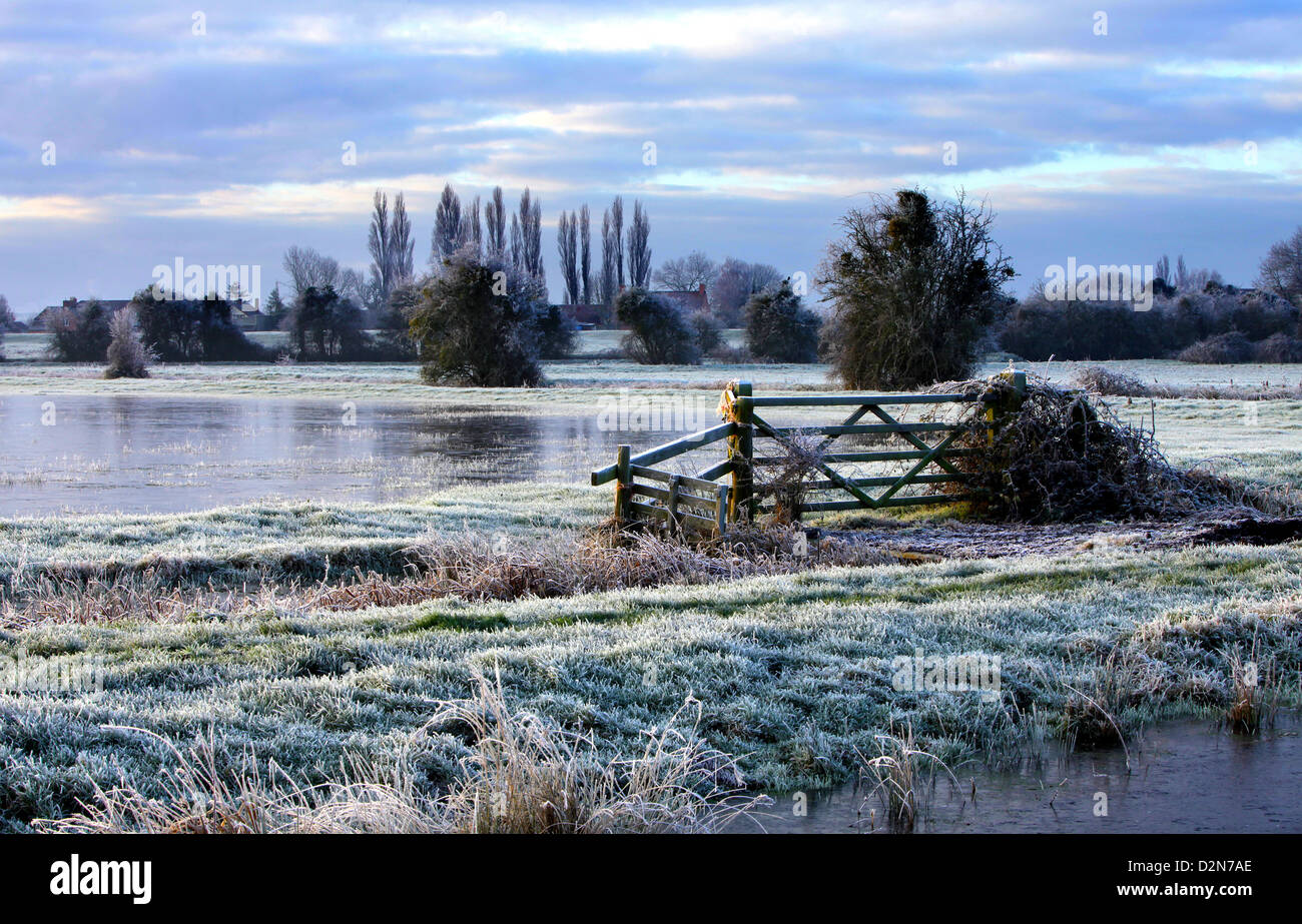 Early morning shot of flooding across the Somerset levels. Stock Photo