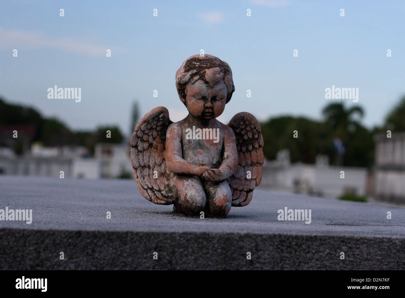 Angel in Key West Cemetery Stock Photo Alamy