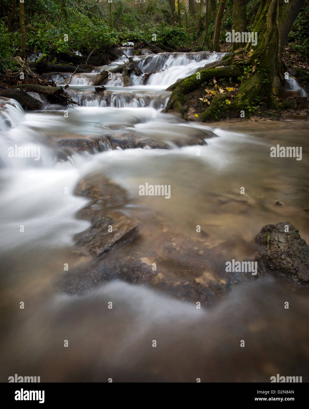 Blaen y Cwm nature reserve. Nash Brook. Cwm Nash Stock Photo