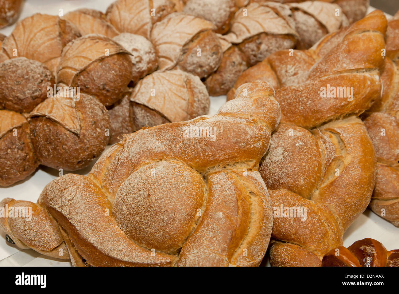 Creative breads Stock Photo
