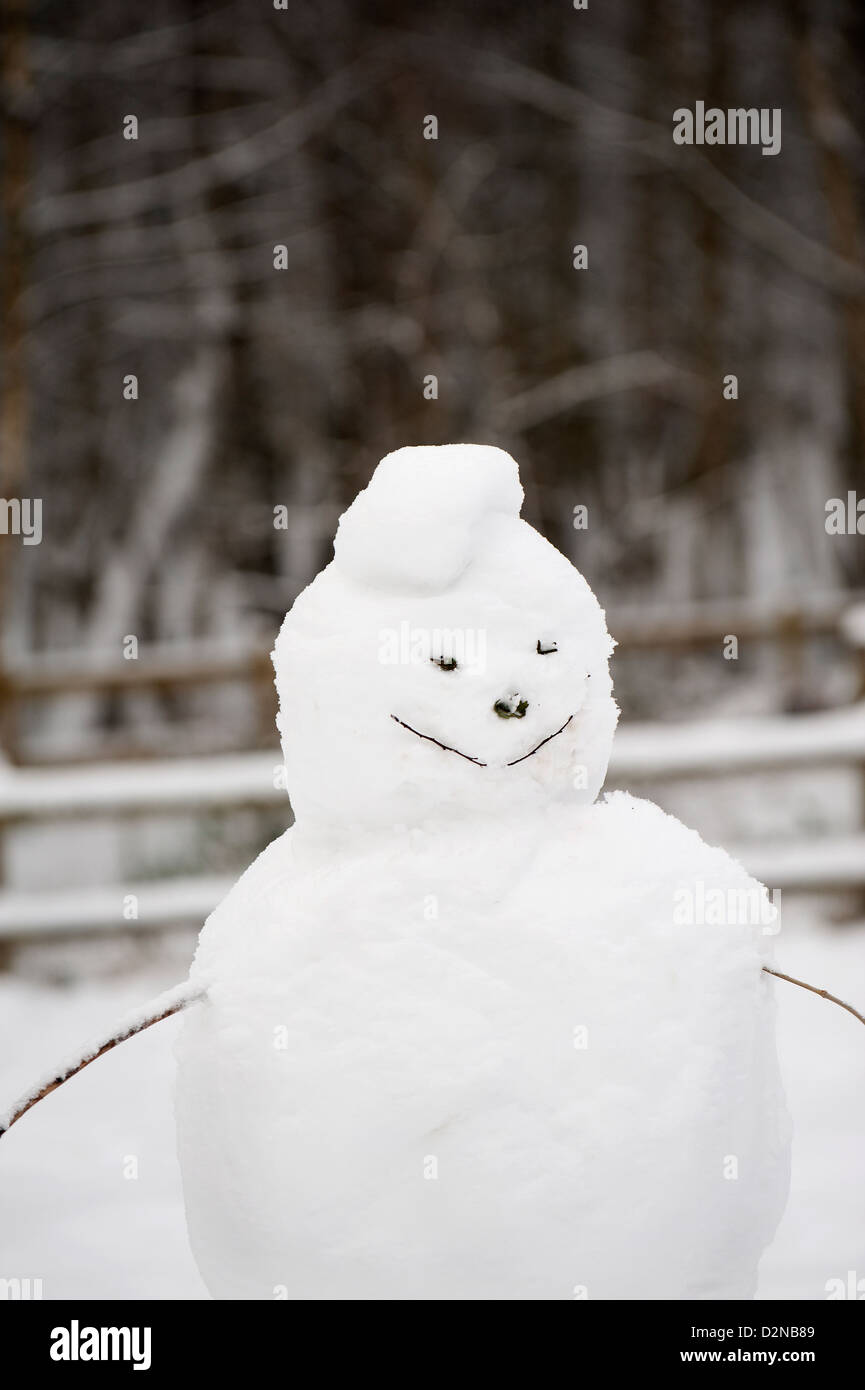 A smiling snowman Stock Photo