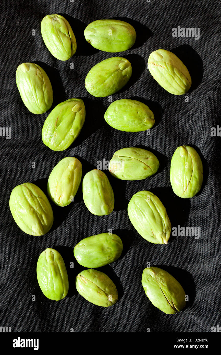 Stink Beans (also known as Twisted Cluster, Bitter, Petai or Sator Beans) Stock Photo