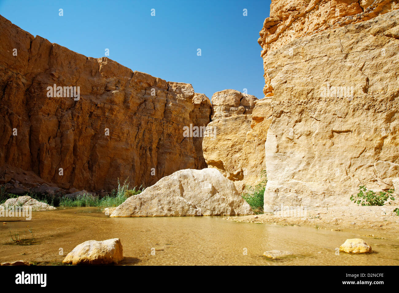 Mountain oasis Tamerza in Tunisia near the border with Algeria. Stock Photo