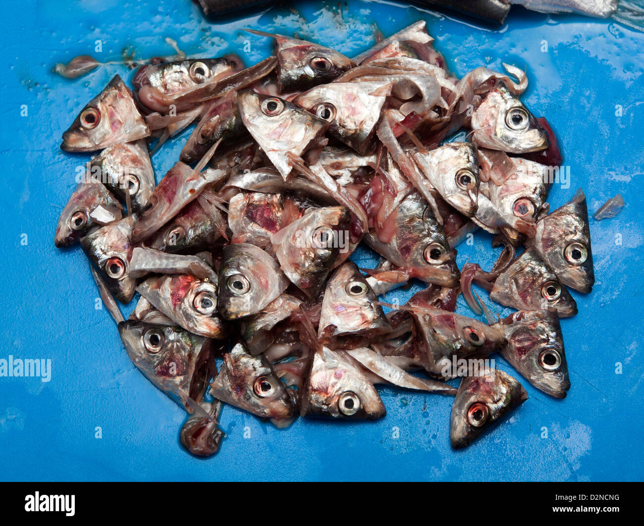 Chopping Off Heads High Resolution Stock Photography and Images - Alamy