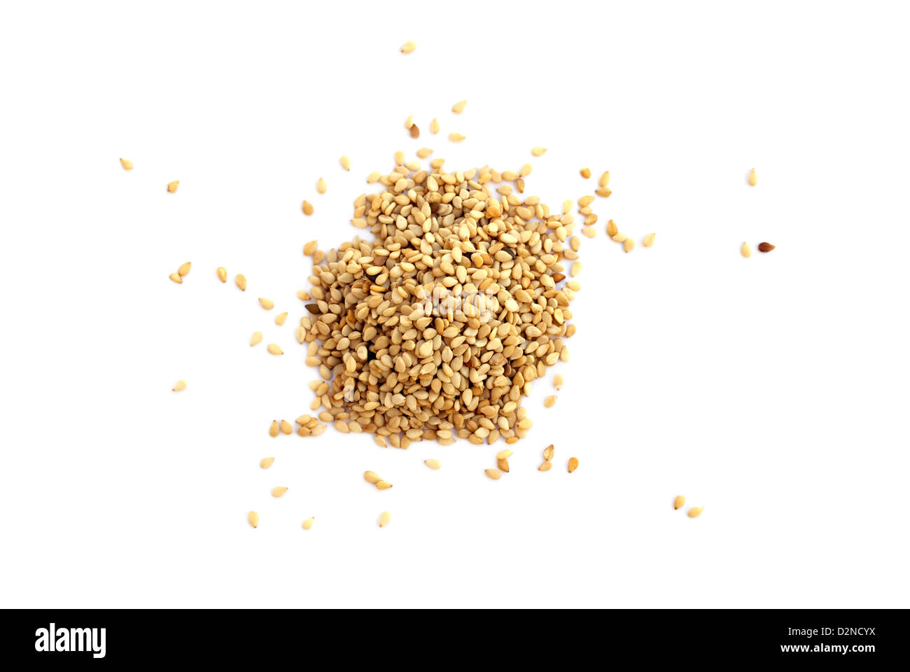 Sesame Seeds Stock Photo