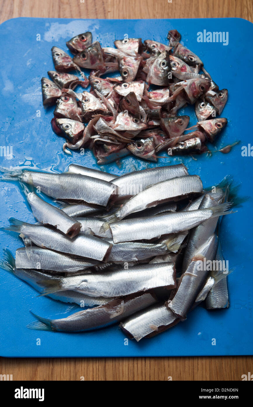 Fresh Sprats on chopping board gutted and with heads removed Stock Photo