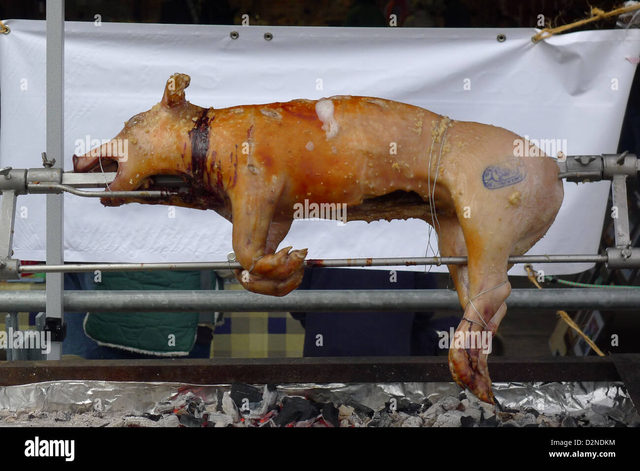A young suckling pig being roasted on a rotating spit over hot coals at a BBQ Stock Photo