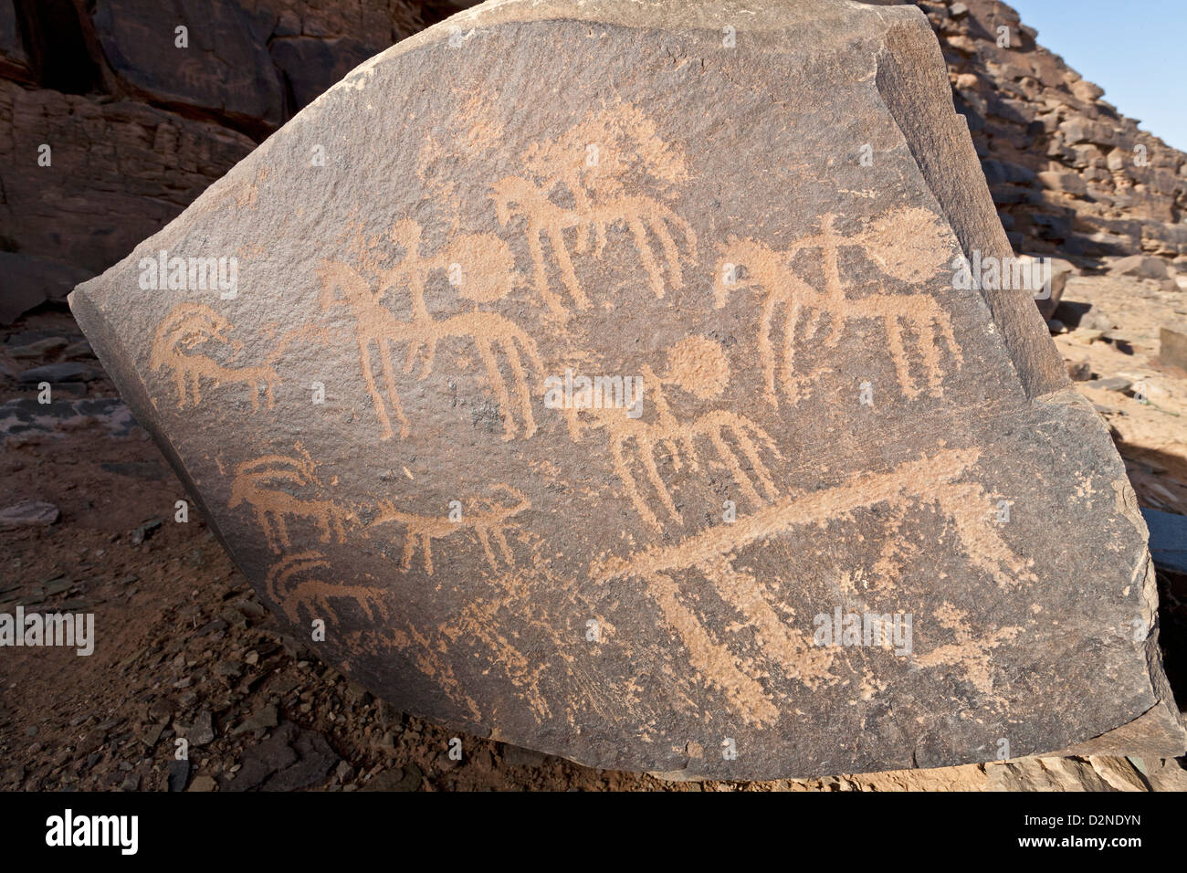 Rock art at the site of Foum Chenna, Oued Tasminaret Valley, Tinzouline, Draa Valley, Morocco, North Africa Stock Photo