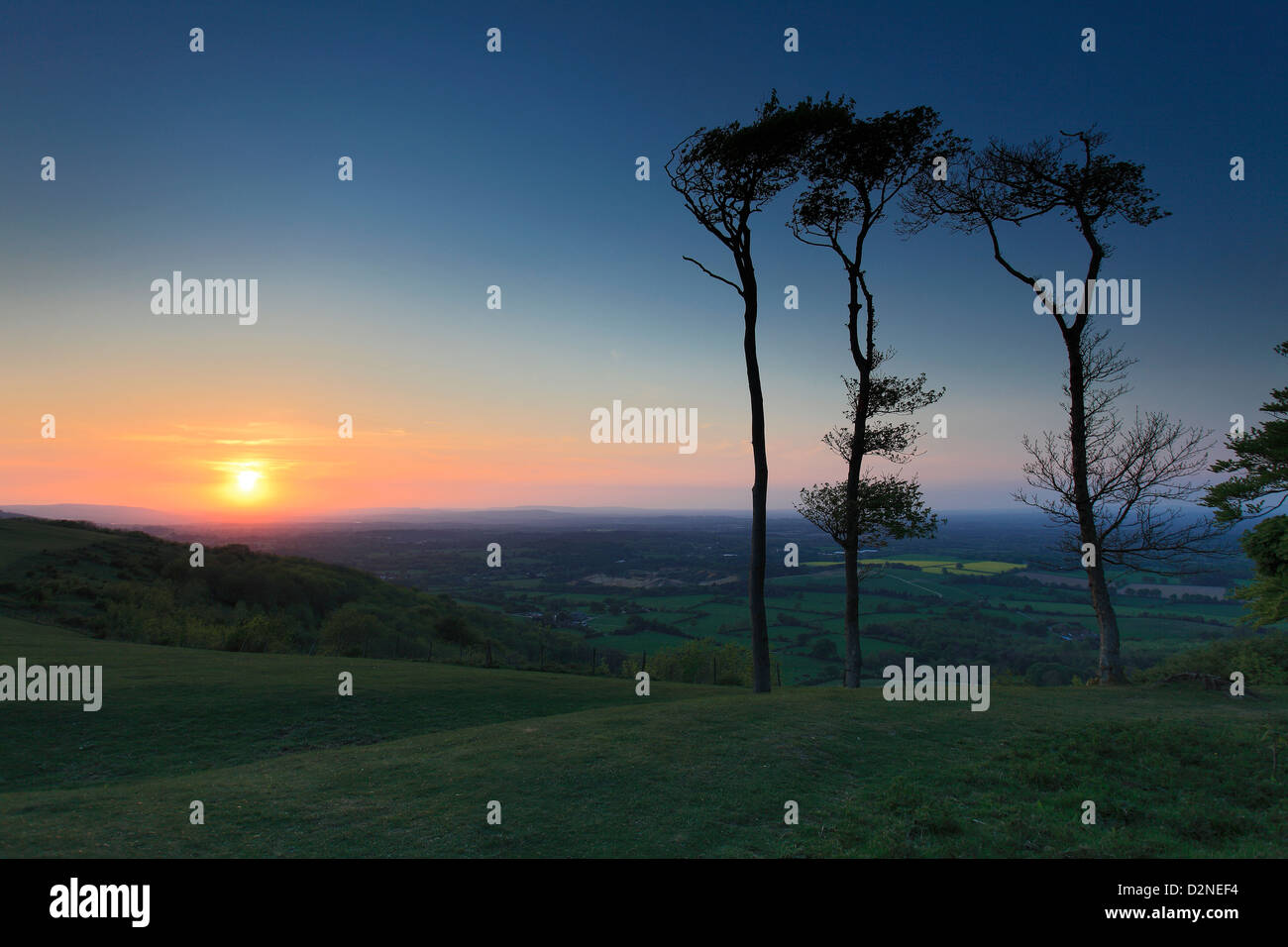 Sunset over Chanctonbury Ring, South Downs National Park, Sussex, England, UK Stock Photo