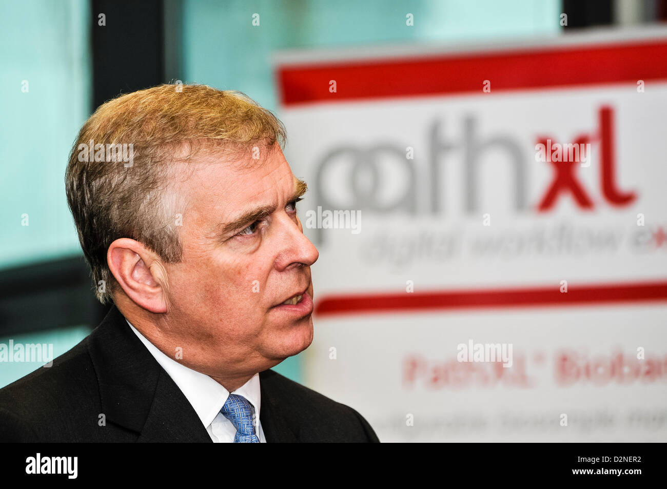 29th January 2013, Belfast, Northern Ireland. Prince Andrew, the Duke of York, at pathXL at the Northern Ireland Science Park Stock Photo