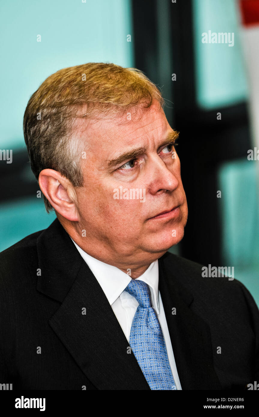29th January 2013, Belfast, Northern Ireland. Prince Andrew, the Duke of York, at the Northern Ireland Science Park Stock Photo