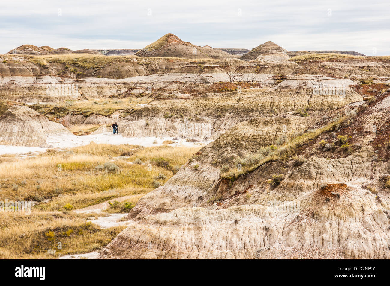 Dinosaur Provincial Park Alberta Canada Stock Photo - Alamy