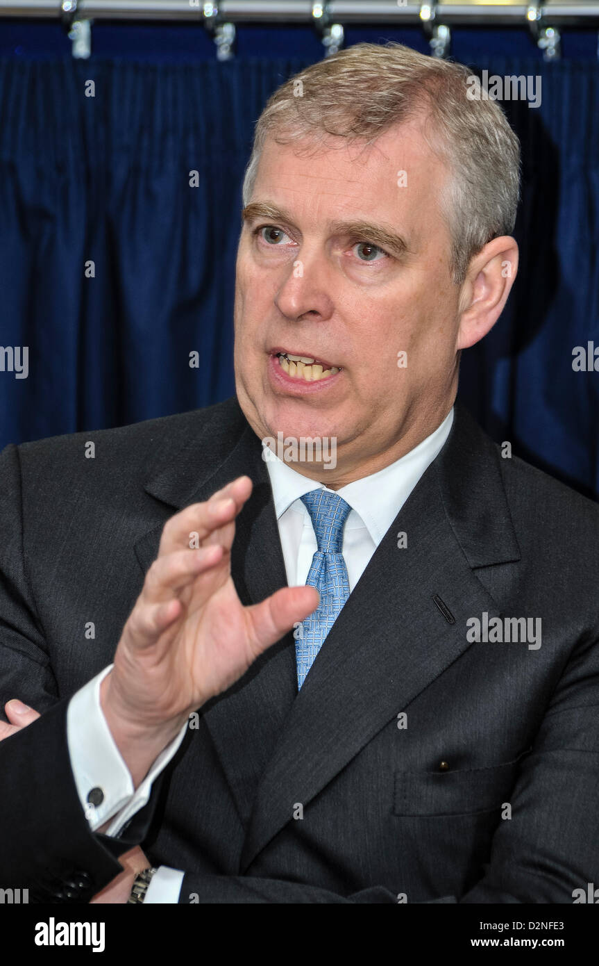 29th January 2013, Belfast, Northern Ireland. Prince Andrew, the Duke of York, gives a speech at the Northern Ireland Science Park Stock Photo