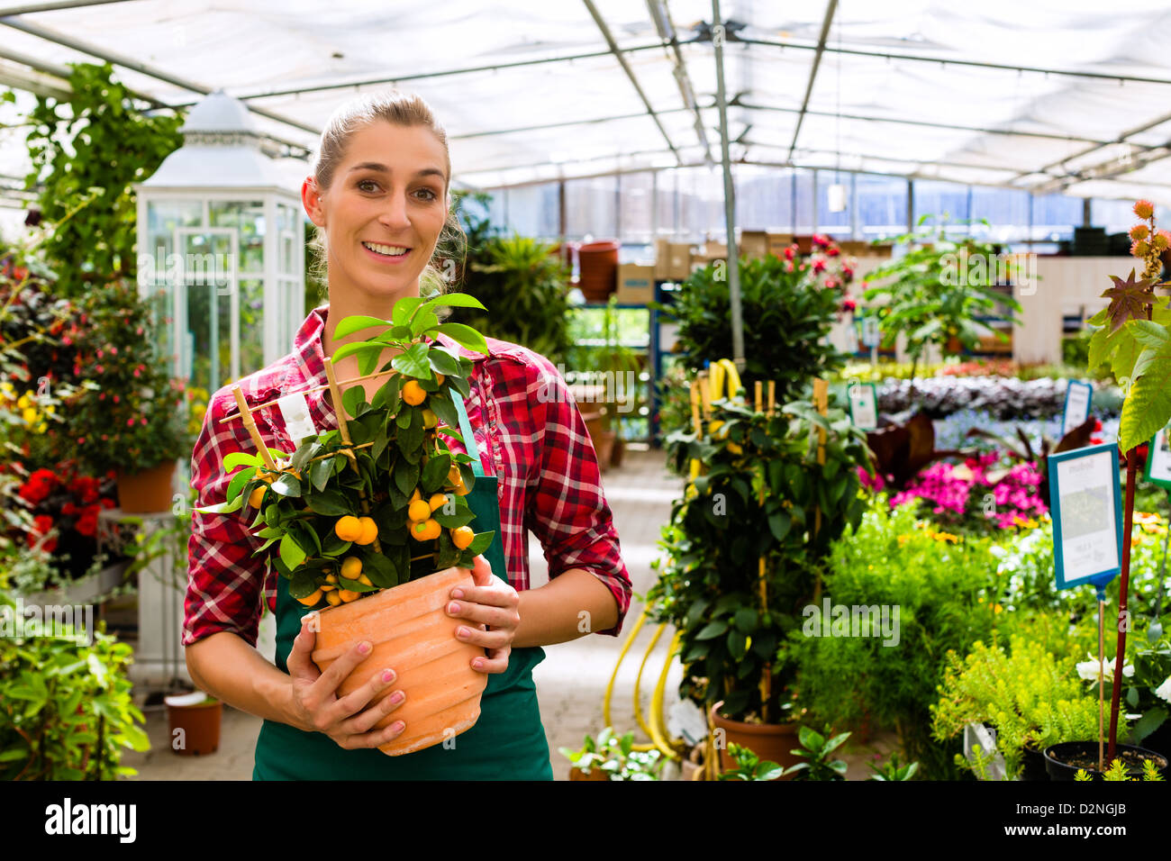 Female gardening hi-res stock photography and images - Alamy