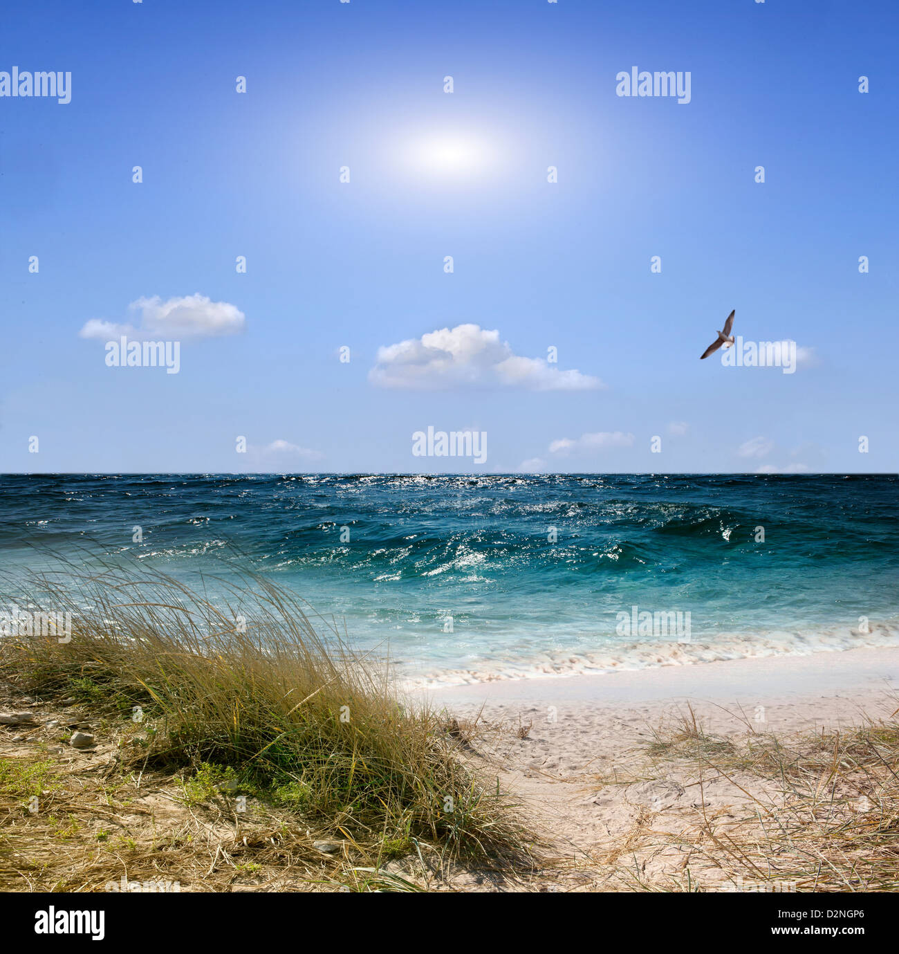 sea beach and blue sea Stock Photo
