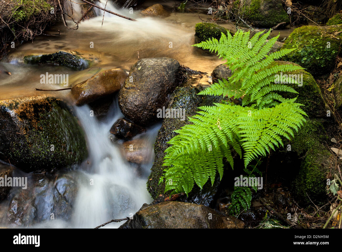 Water flowing down rocks hi-res stock photography and images - Alamy
