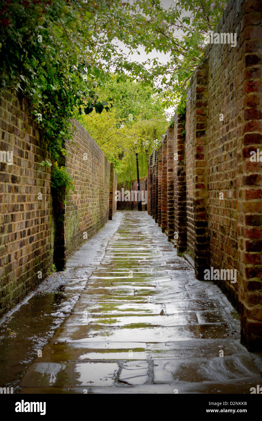 Alleyway with rain soaked pavement Stock Photo