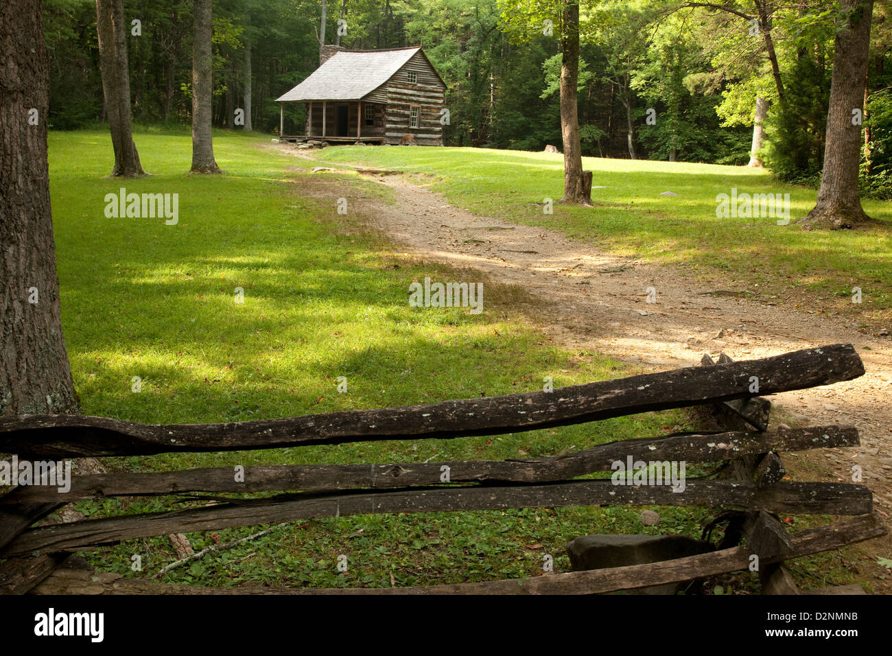 Log Cabin In The Woods With A Green Yard And A Foot Worn Path To