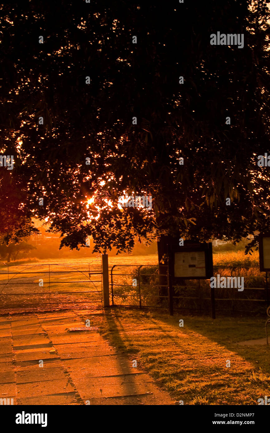 sunrise in Chester Stock Photo - Alamy