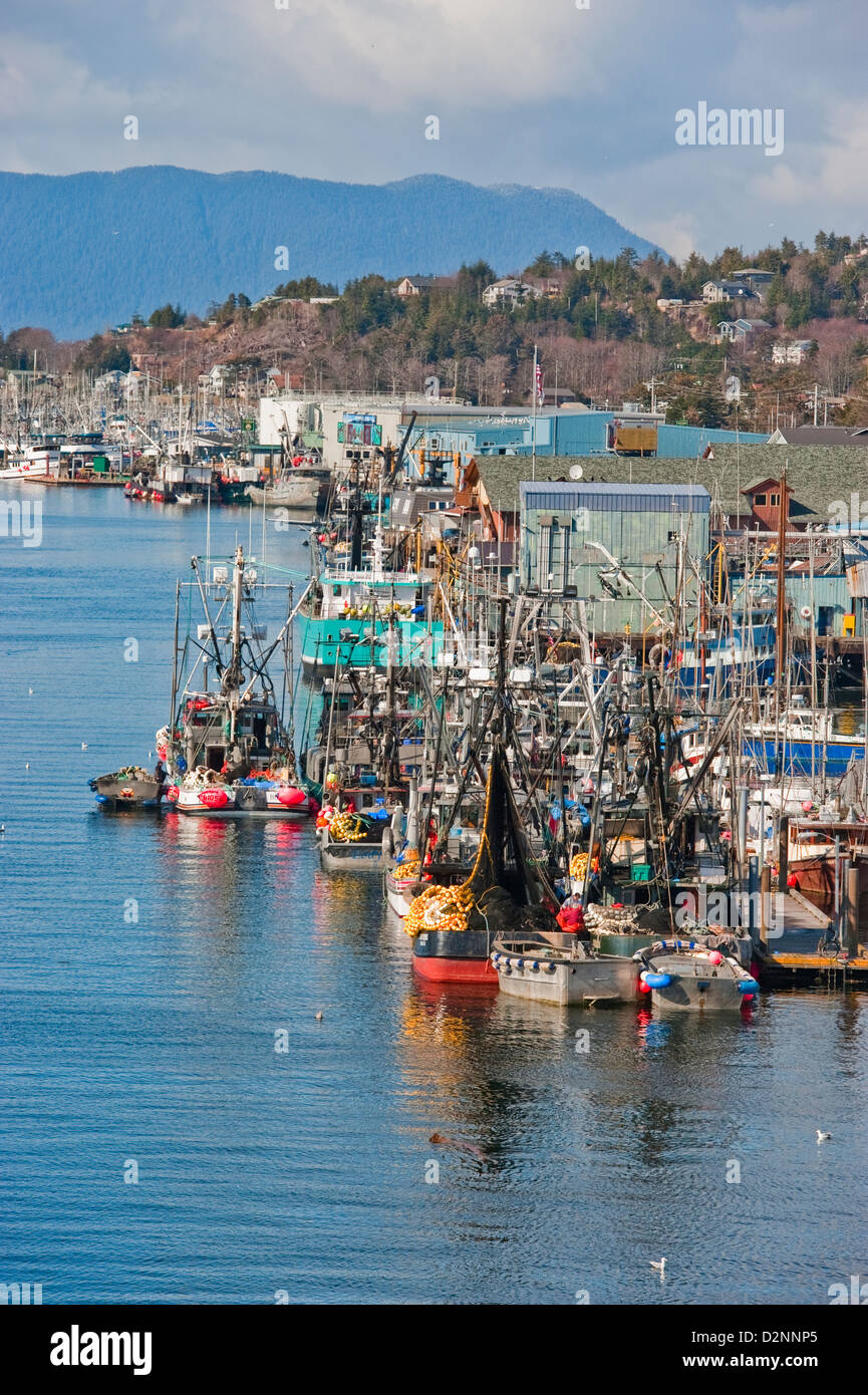Sac roe herring fishing fleet awaiting the opening of the fishing