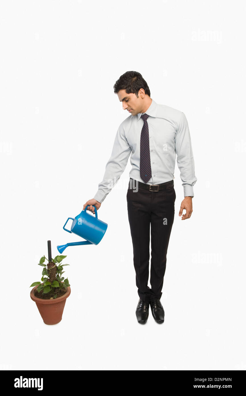 Businessman watering a plant Stock Photo