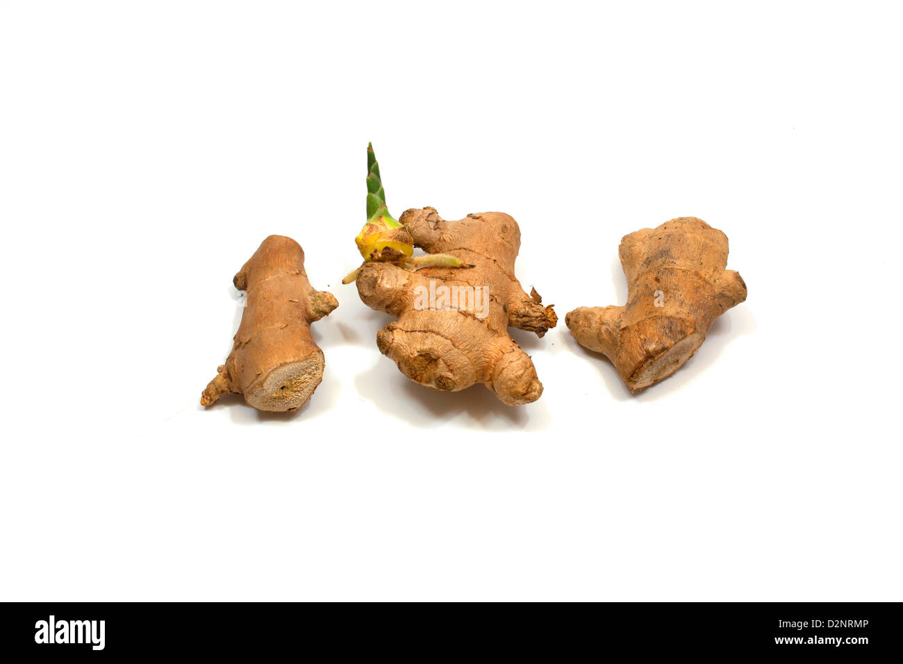 food fresh ginger root gourmet healthy diet herb isolated organic spice studio studio shot white background Stock Photo