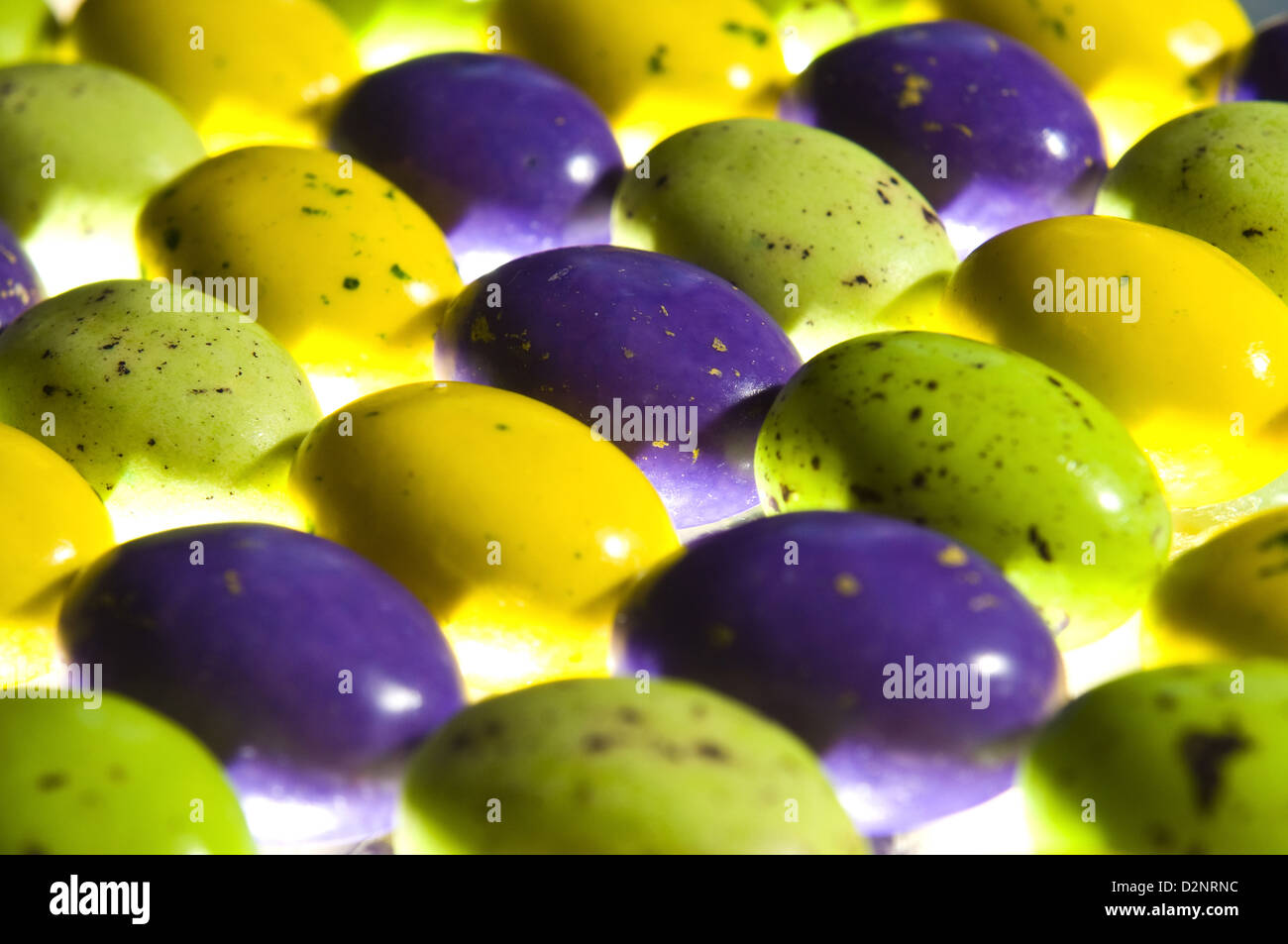 candycovered chocolate eggs in studio setting Stock Photo Alamy