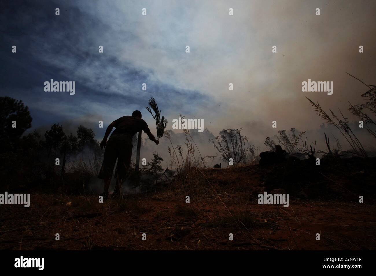 Paarl, South Africa. 29th January 2013.  A farm worker beats falems on January 29, 2013, in Paarl, South Africa. No firemen were present as the veld fire swept through the entire Boland region in the Western Cape. (Photo by Gallo Images / The Times / Shelley Christians/ Alamy Live News) Stock Photo