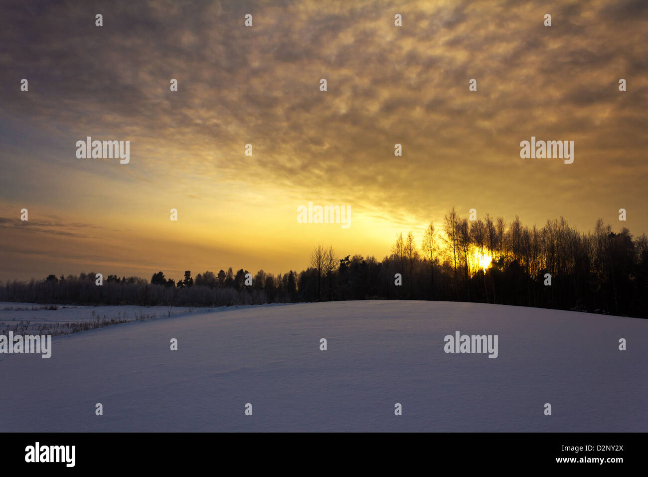 Orange sunset sky over forest hi-res stock photography and images - Alamy