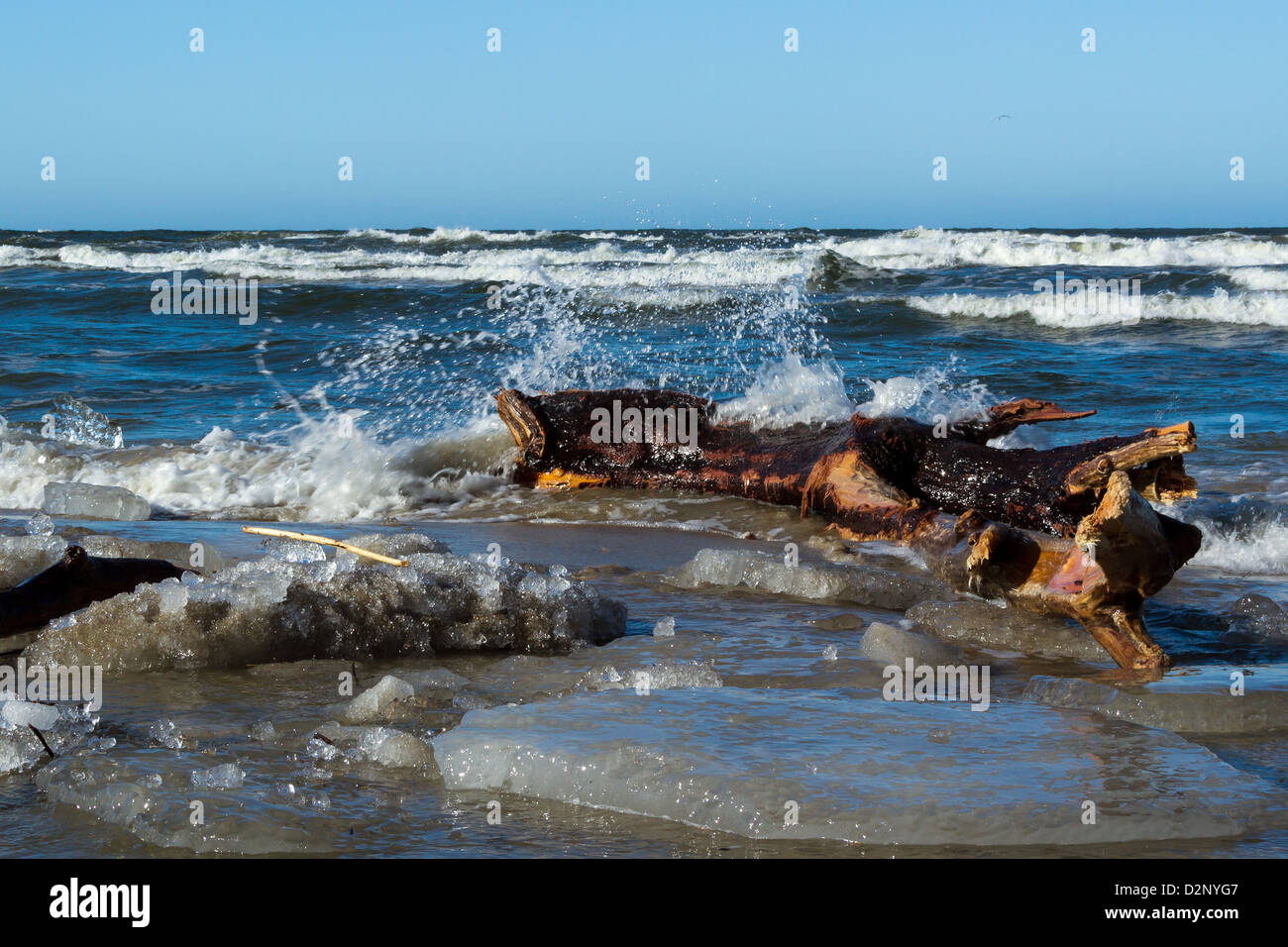 Splashing waves over a wood on the beach of Baltic sea. Stock Photo