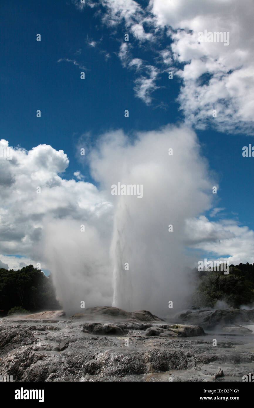A thermal geyser erupts into the sky Stock Photo - Alamy