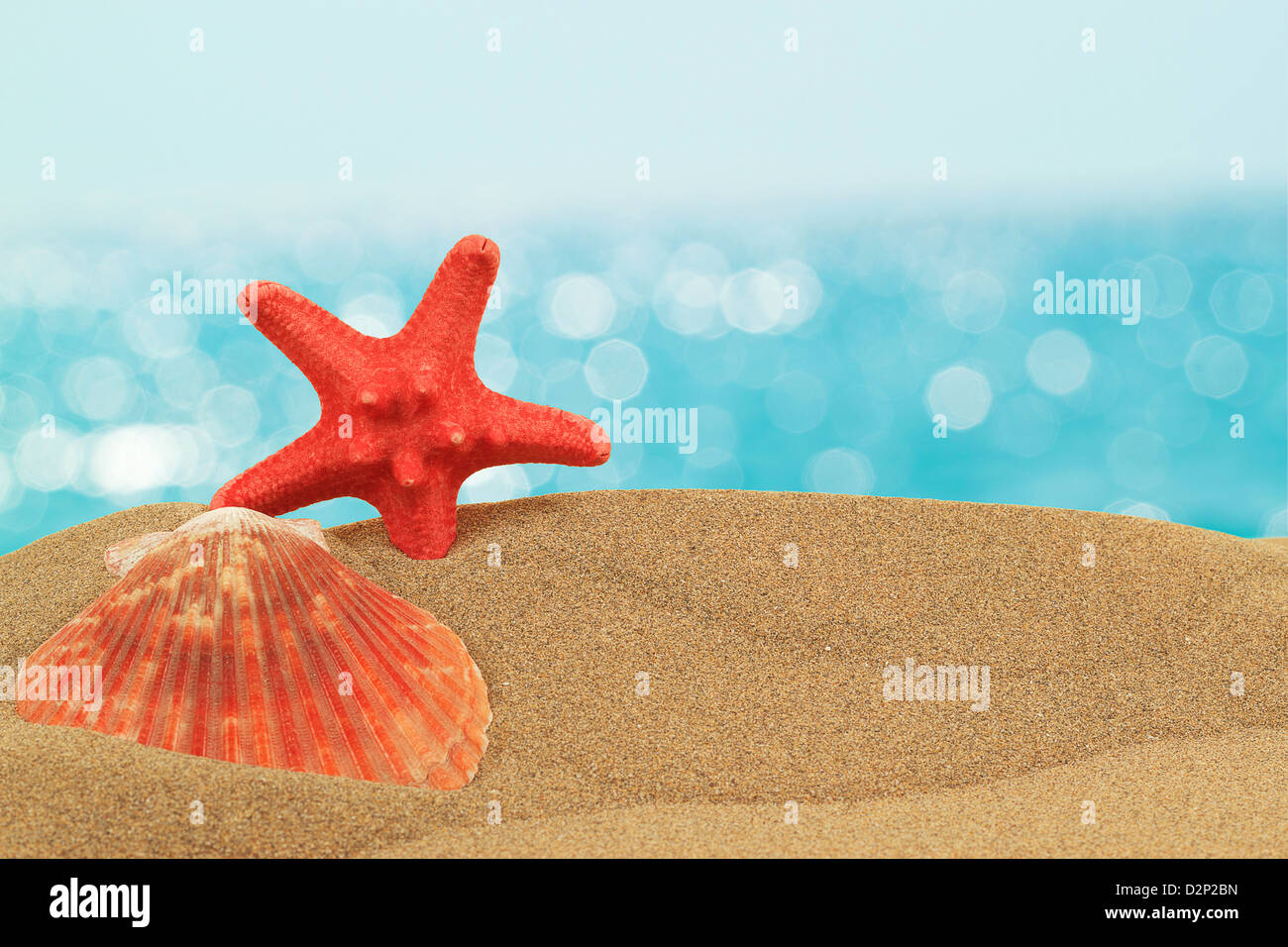 vacation background with seashell and starfish on sand with blue bokeh ...